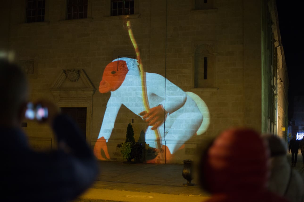 Photo of Uacari Branco projected on the wall