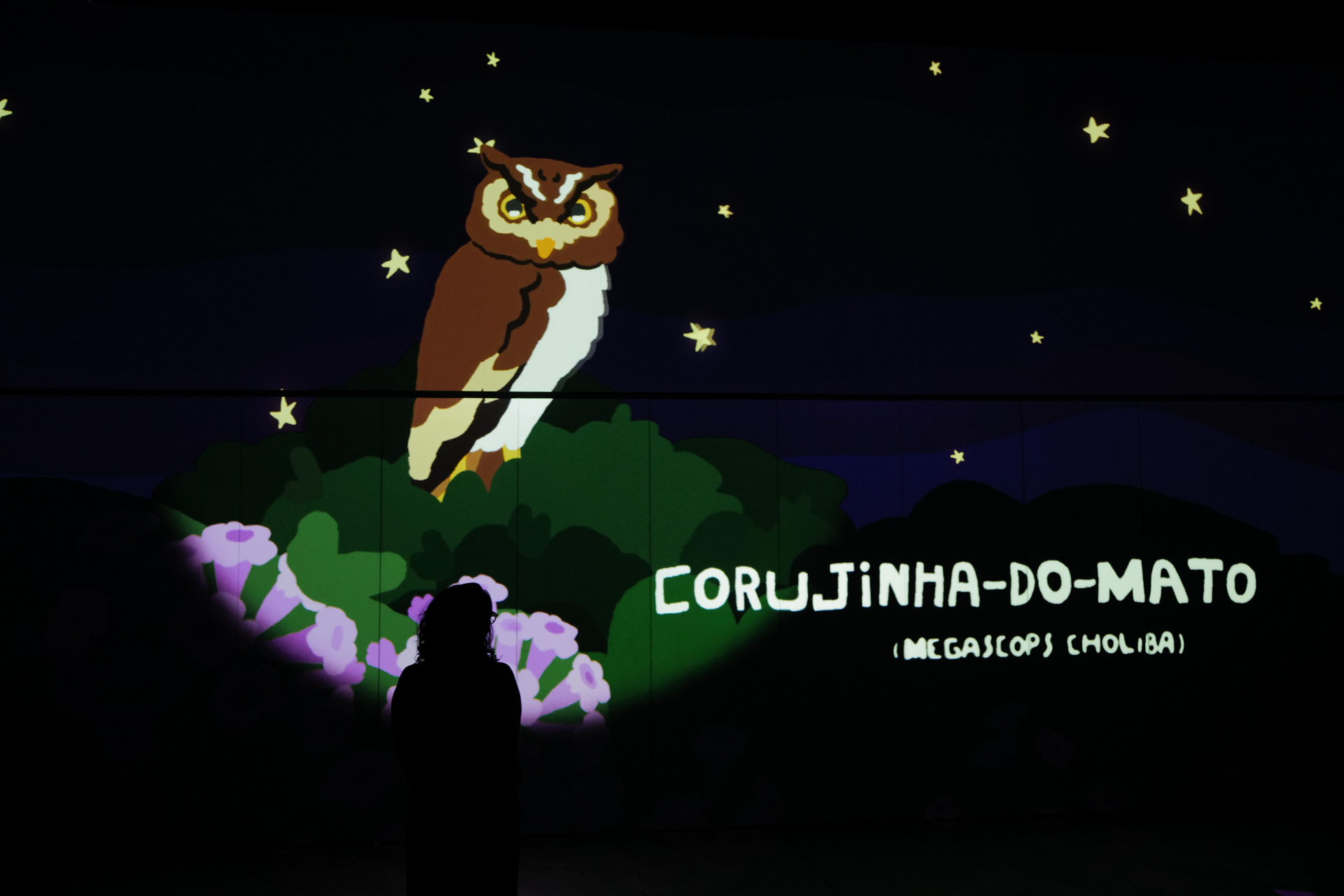 Photo inside the immersive intallation, Corujinha do Mato.
Photography by Ygor Marotta