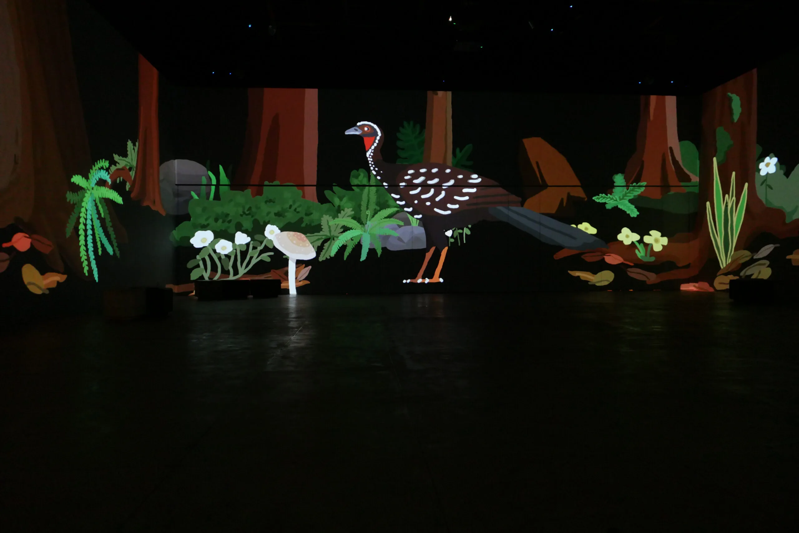 Photo inside the immersive intallation
