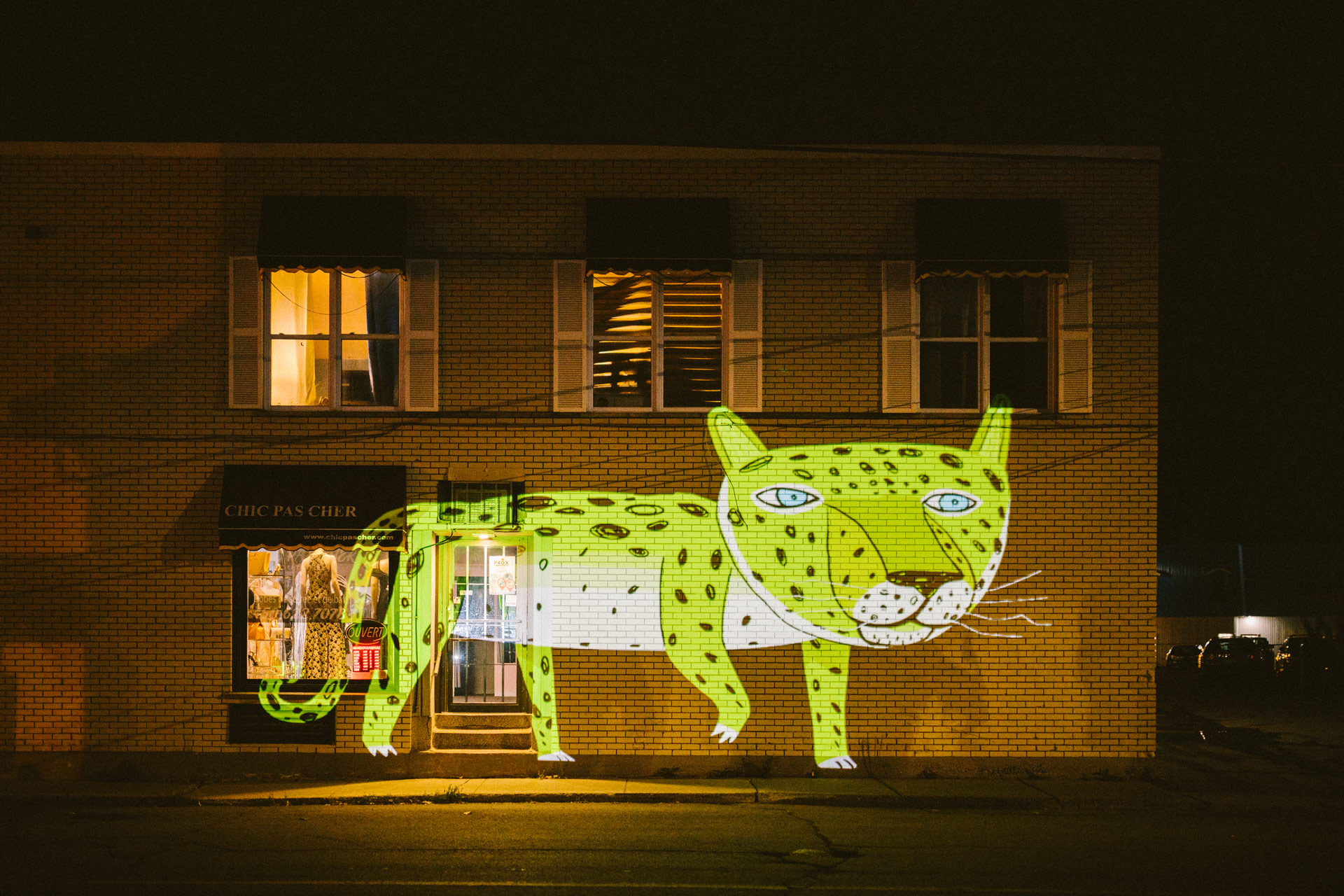VJ Suave Suaveciclo conducting projections of a jaguar
