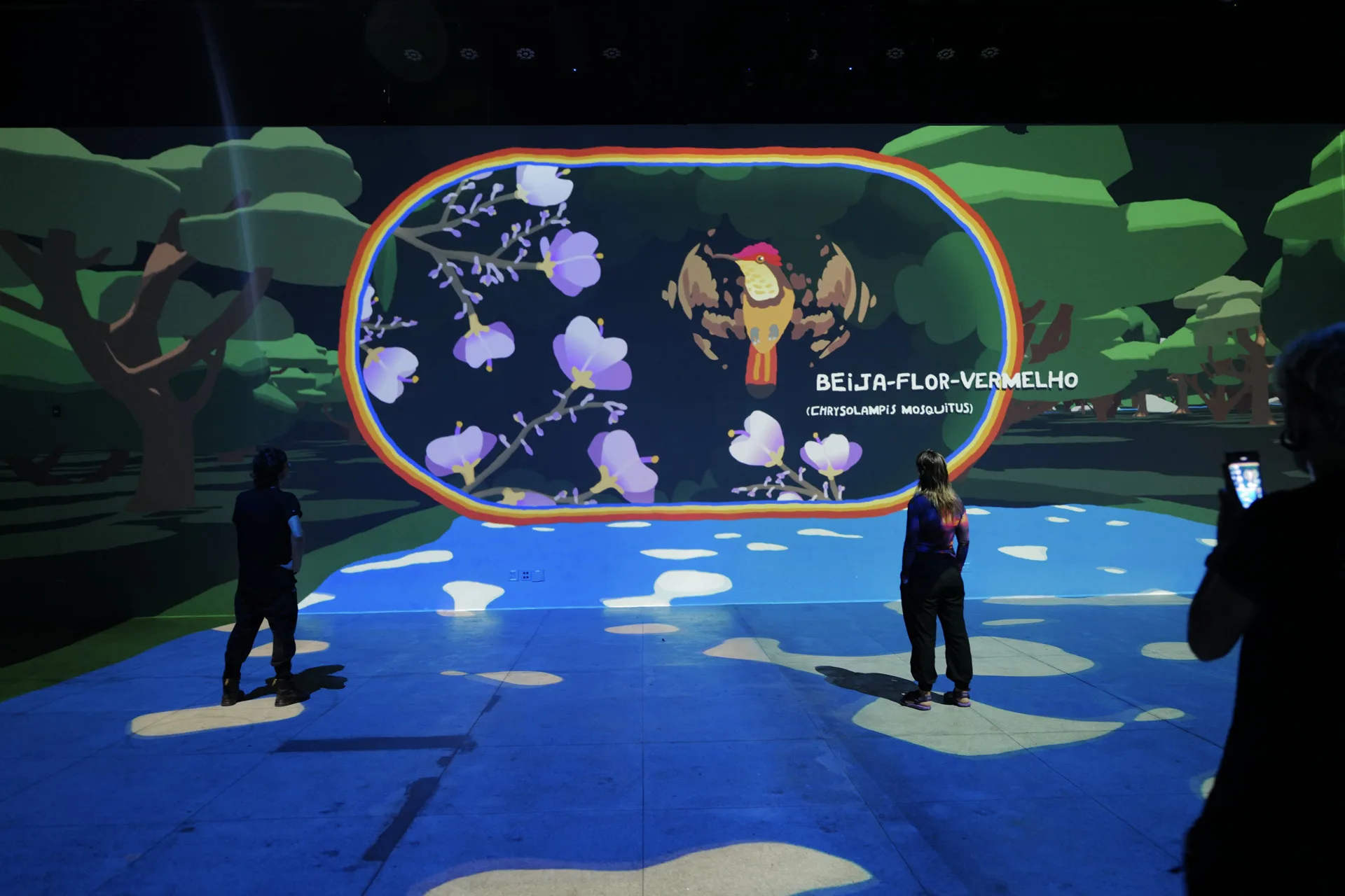 Photo of the immersive projection mapping installation, a magnifying glass made of rainbow identifies a hummingbird, providing its name and scientific