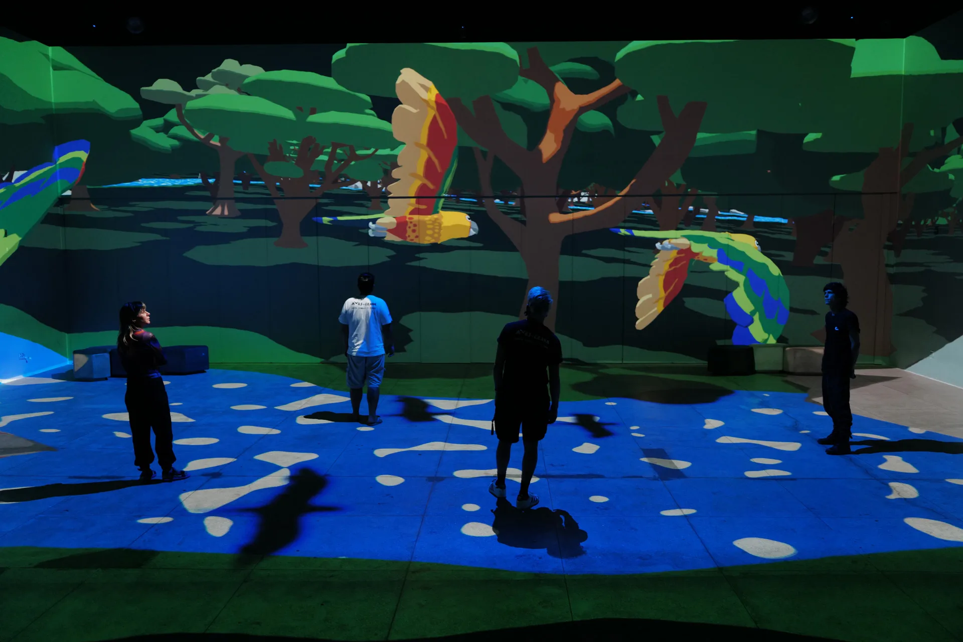 Photo of the immersive projection mapping installation,  voo das maracanãs.