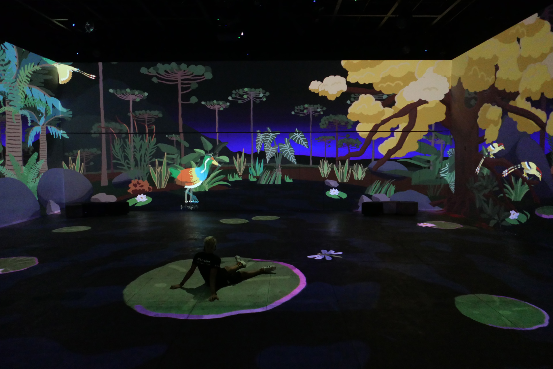 Photo of the immersive projection mapping installation, scene of a collective of birds named Cardeal, with red head and white body