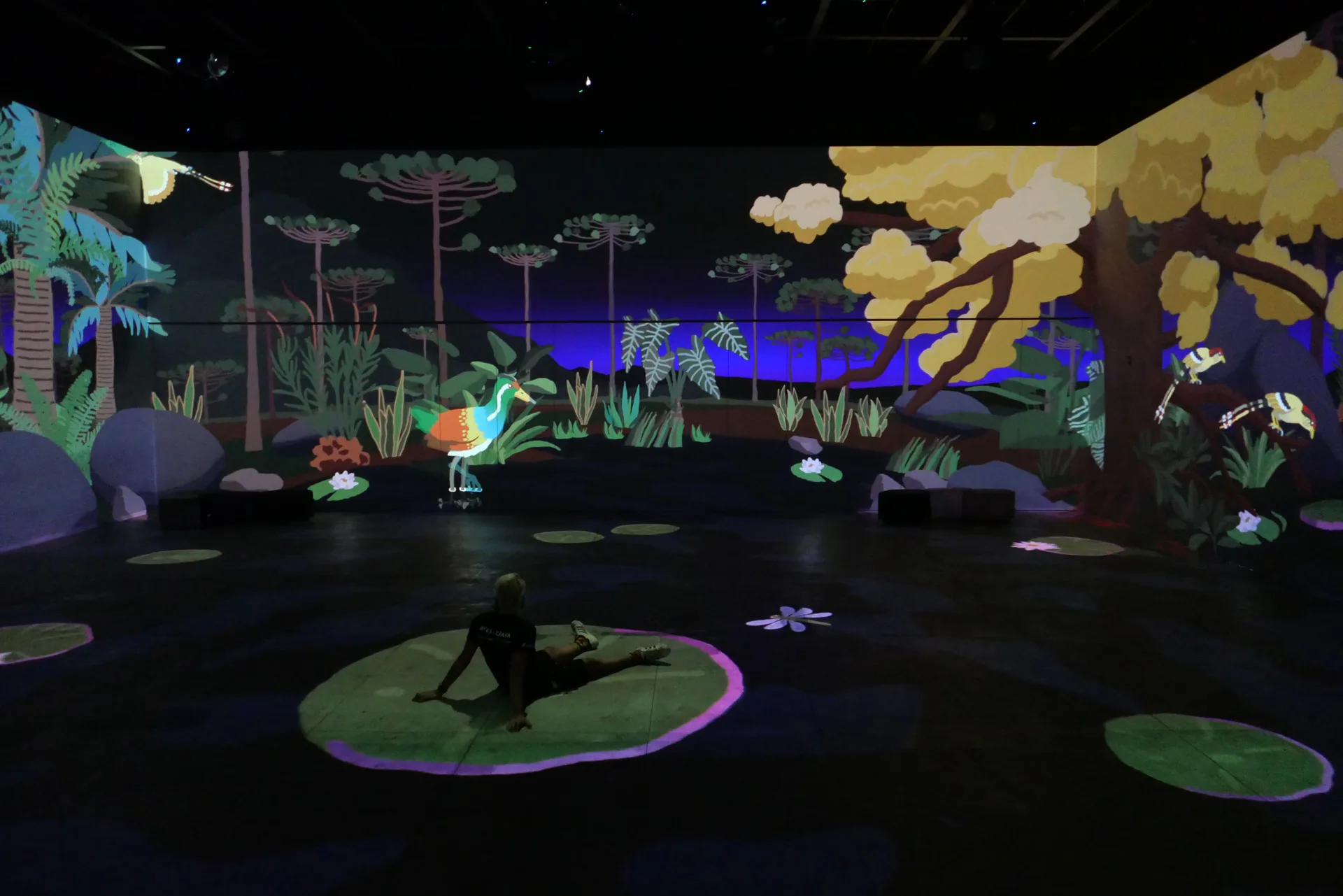 Photo of the immersive projection mapping installation, scene of a collective of birds named Cardeal, with red head and white body
