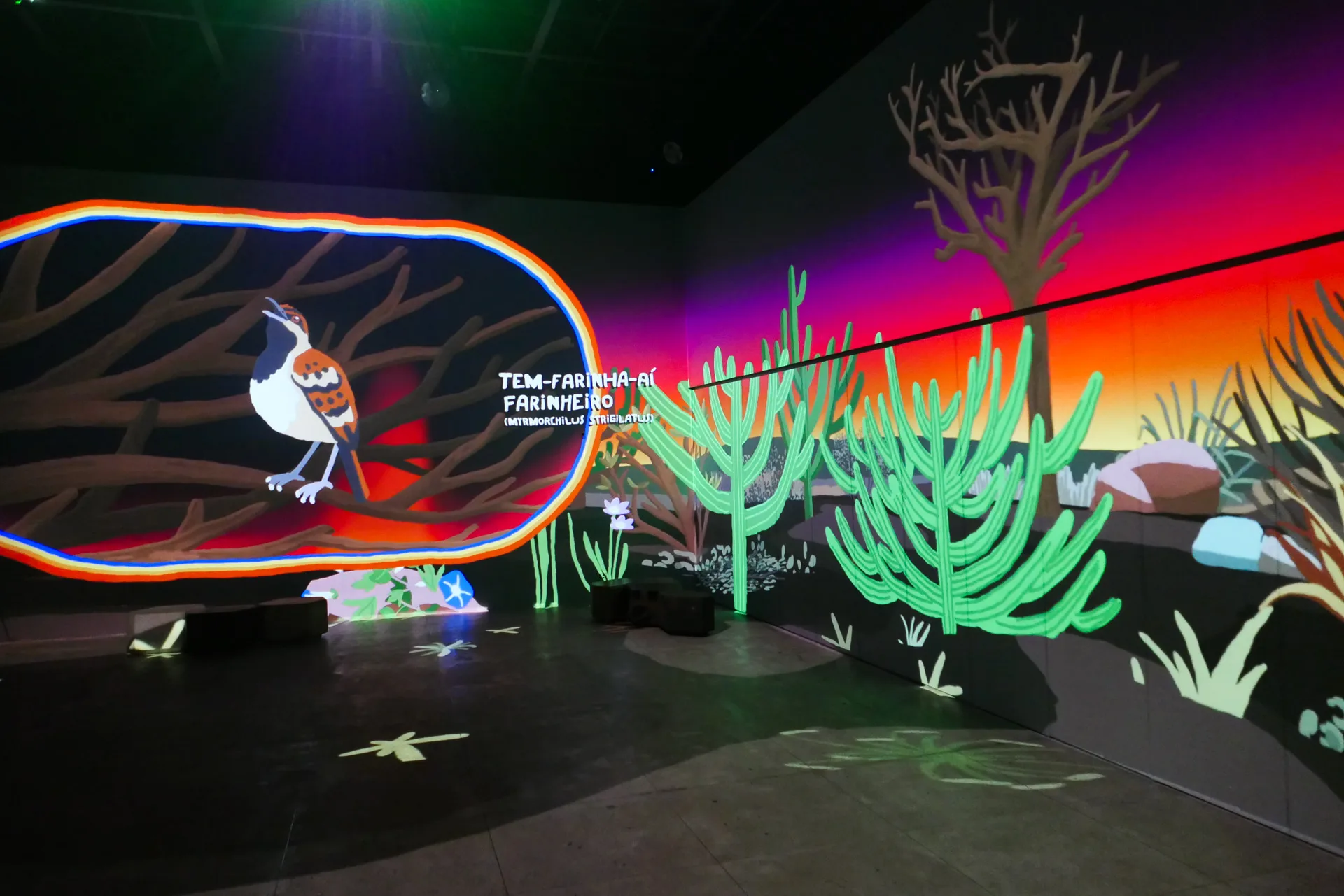 Photo inside the immersive intallation. Photography by Ygor Marotta